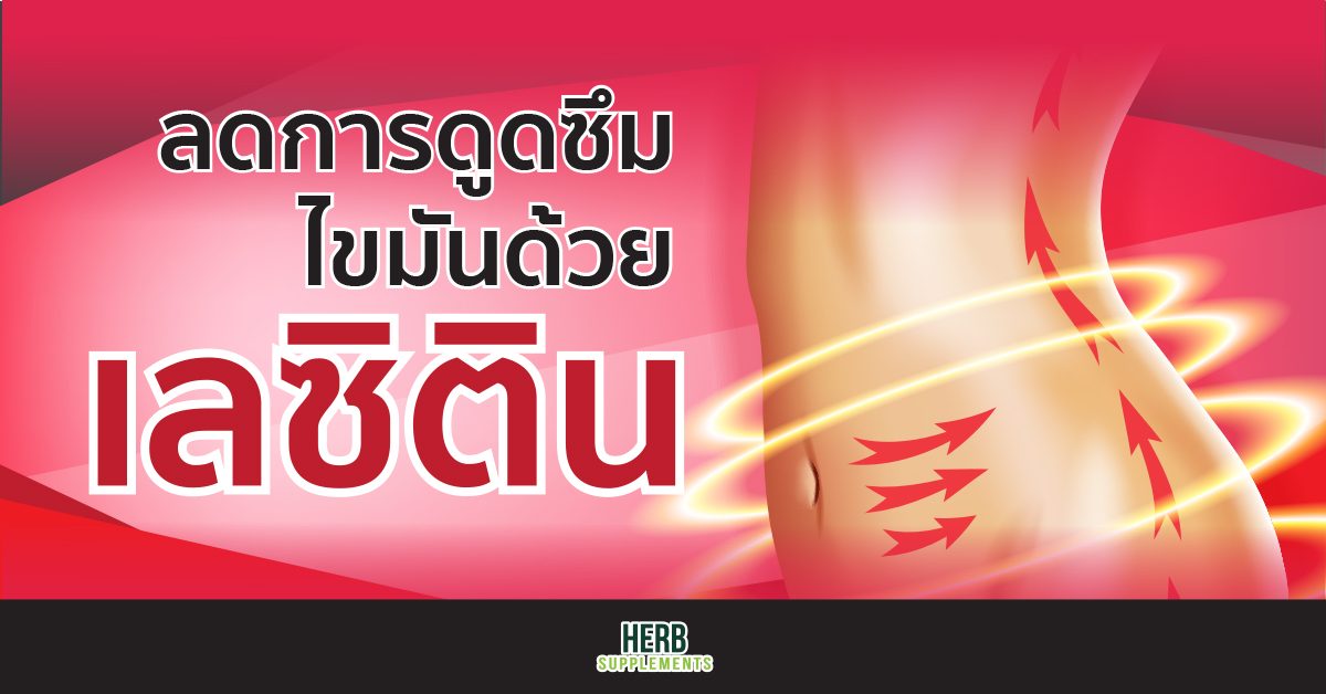 ลดการดูดซึมไขมันด้วย เลซิติน