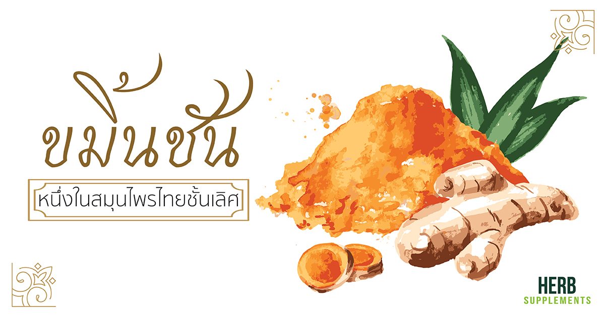 ขมิ้นชัน หนึ่งในสมุนไพรไทยชั้นเลิศ