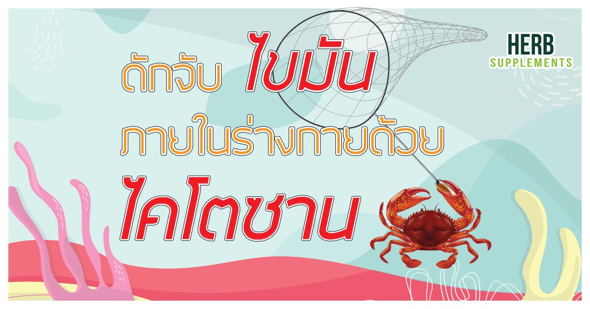 ดักจับไขมันภายในร่างกายด้วย ไคโตซาน