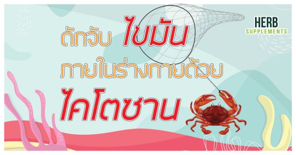 ดักจับไขมันภายในร่างกายด้วย ไคโตซาน