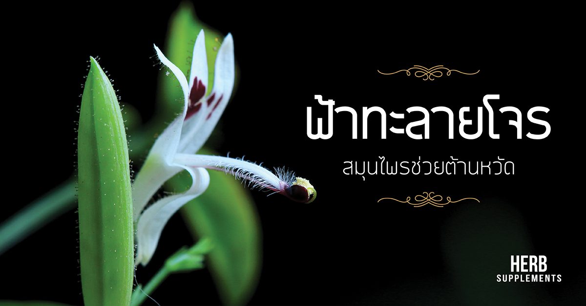 ฟ้าทะลายโจร สมุนไพรช่วยต้านหวัด