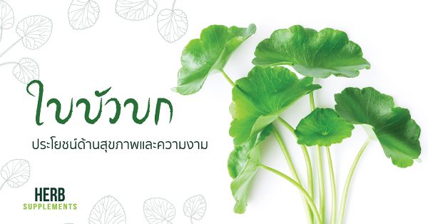 ใบบัวบก ประโยชน์ด้านสุขภาพและความงาม